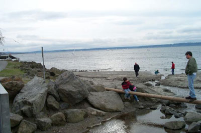 Golden Gardens
picture